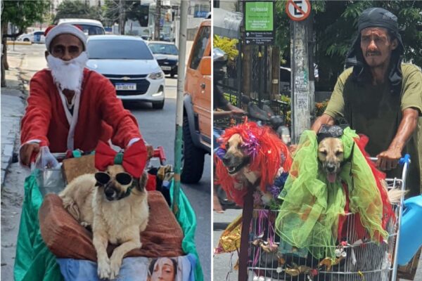 Jurandir e seus animais se vestem de acordo com as épocas festivas. Fotos: Wagner Oliveira