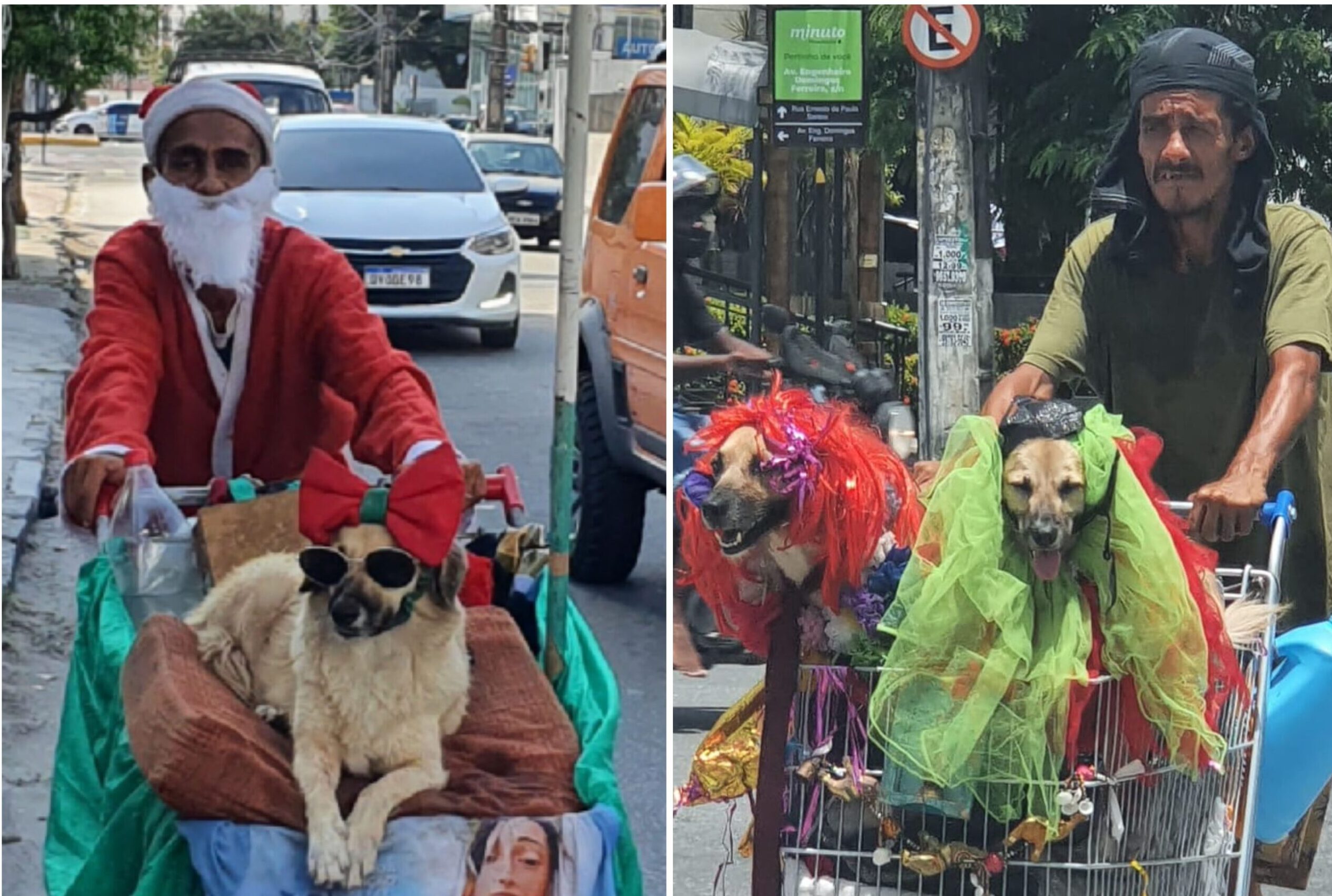 Jurandir e seus animais se vestem de acordo com as épocas festivas. Fotos: Wagner Oliveira
