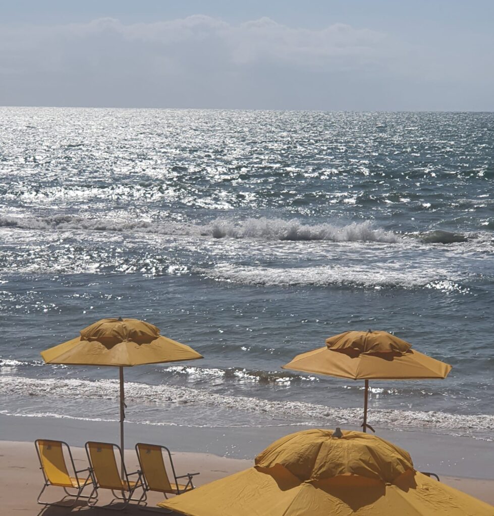 Muita gente tem medo de entrar no mar devido ao risco de ataques. Foto: Wagner Oliveira